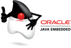 Programar el Internet de las cosas