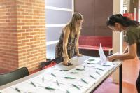 Registro en el evento multiplicador del proyecto Wamdia